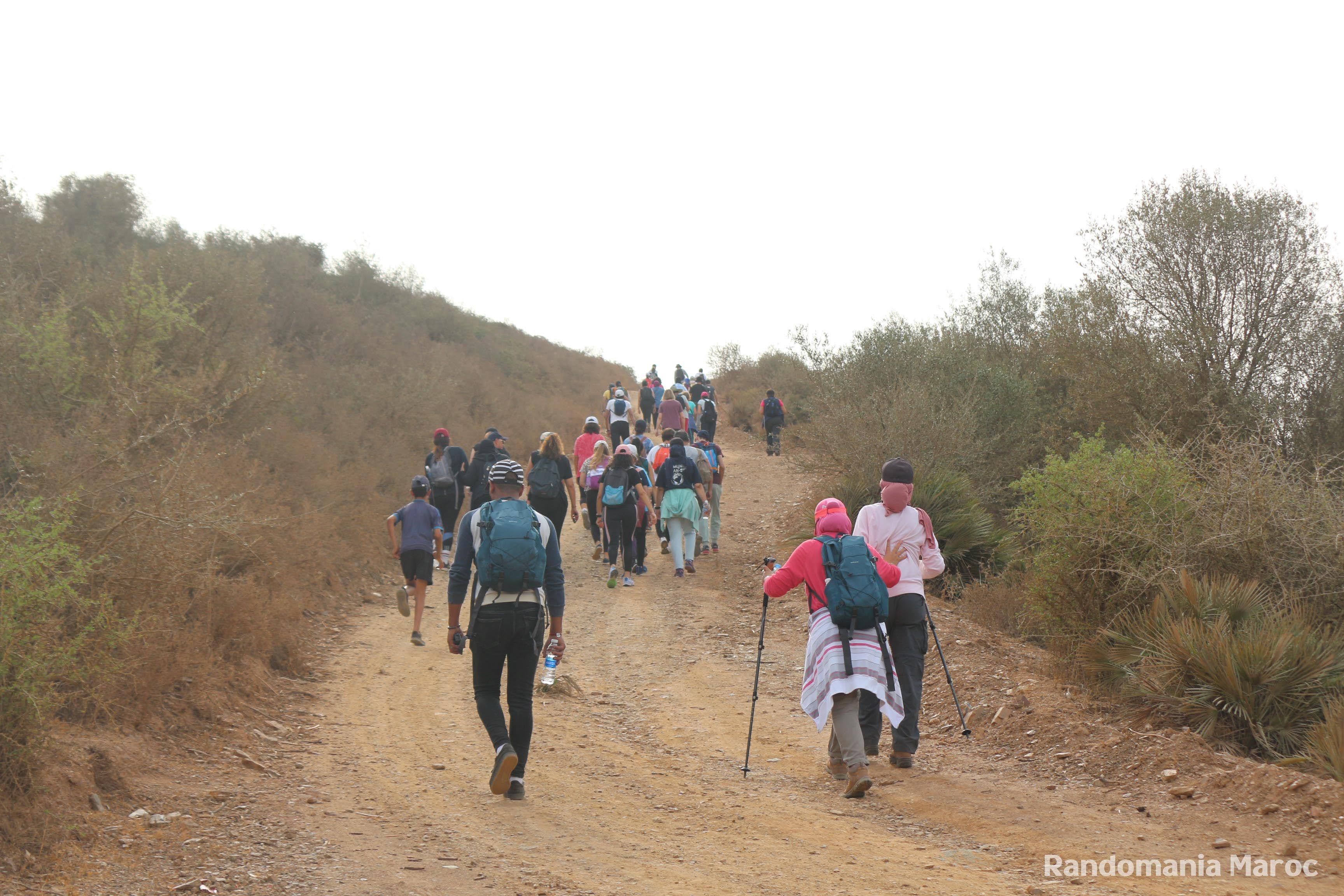 ✅ Déroulement du programme :