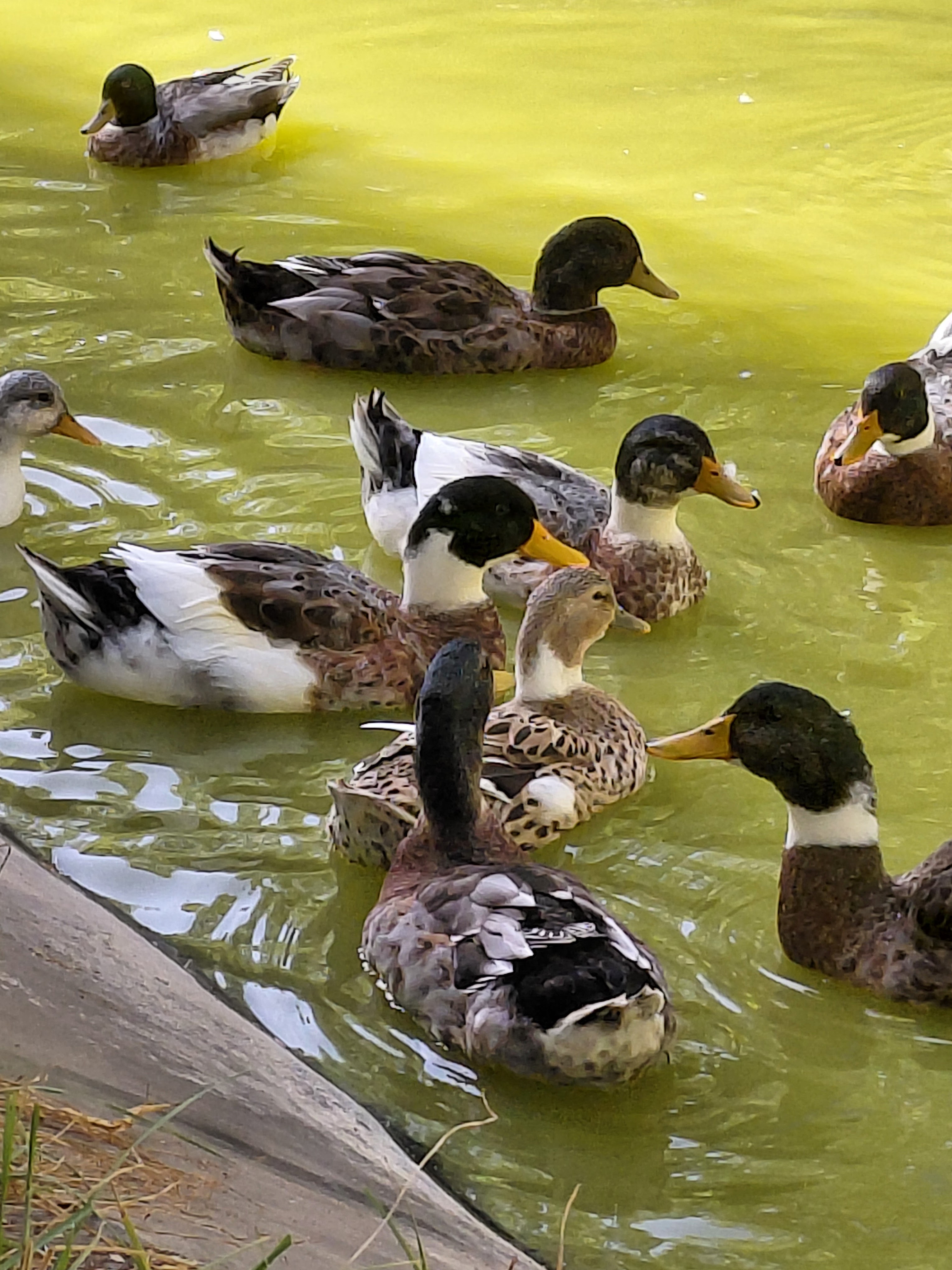 🌿 Jour 3 – Balade et Découverte du Parc Taghbalout